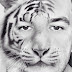 Photo de profil de Saïd, client de Restaurant Le Commerce