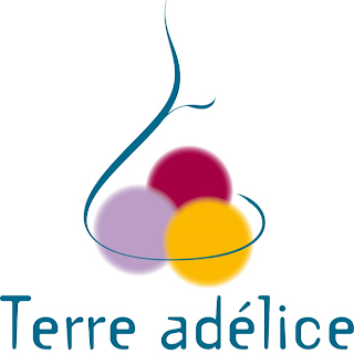 Glacier Terre adélice ANNECY