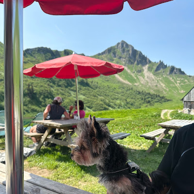 Plat servi chez Café restaurant le Passe Montagne, photographié par Padawan