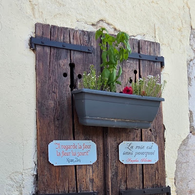 Plat servi chez Rôtisserie du Château de Lovagny, photographié par alberto bertini