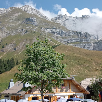 Plat servi chez Restaurant Le Chalet De L'Aulp, photographié par Emmanuel CHABERT