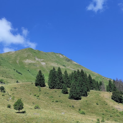 L’écho du berger à Marignier : plat photographié par Daniel MEDAERTS